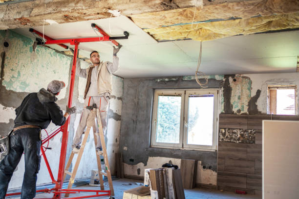 Best Insulation Maintenance and Repair in Lake View, AL